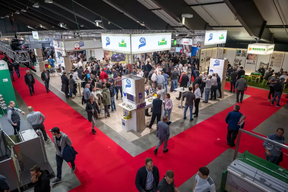 Suisse Tier 2025 - Soller Junghennen AG